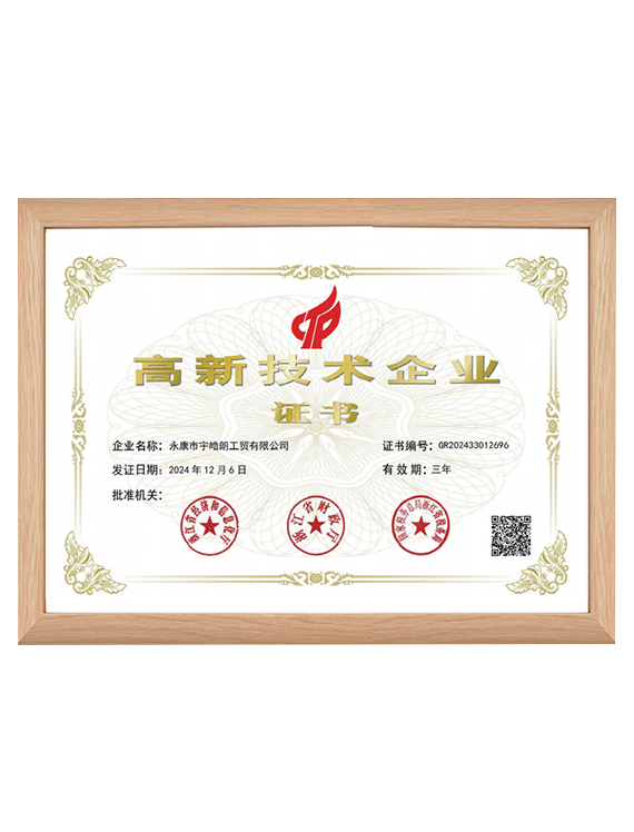 High-Tech Enterprise