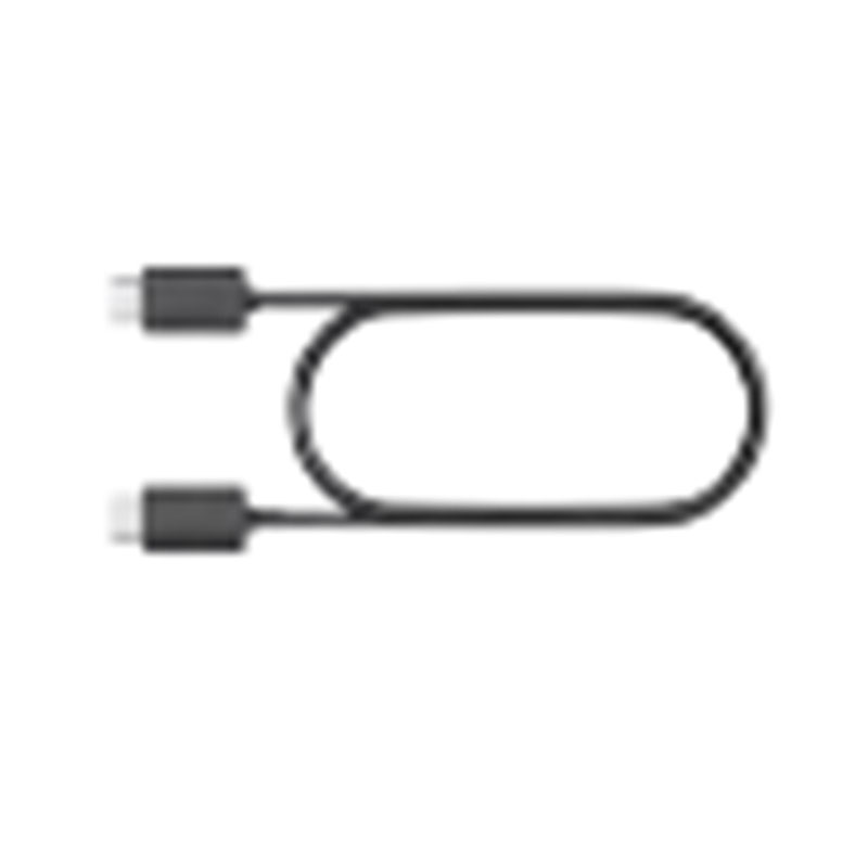 Dual C fast charge cable